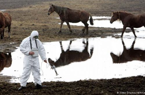 Будущее Чернобыльской зоны. Заповедник, где «фонит»