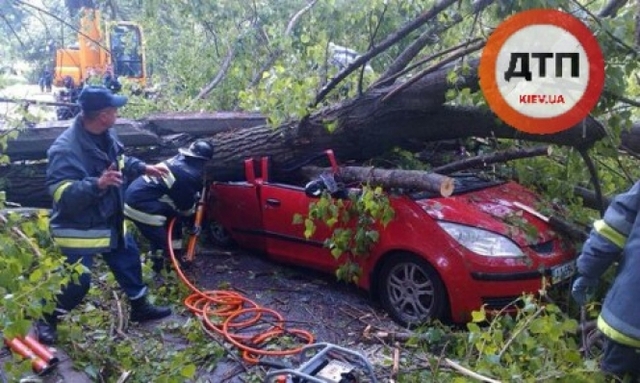 Смертельное ДТП с падением тополя и столба на Mitsubishi Colt, в котором погиб ребенок: расследование не продвигается. Активисты и родственники ищут свидетелей!