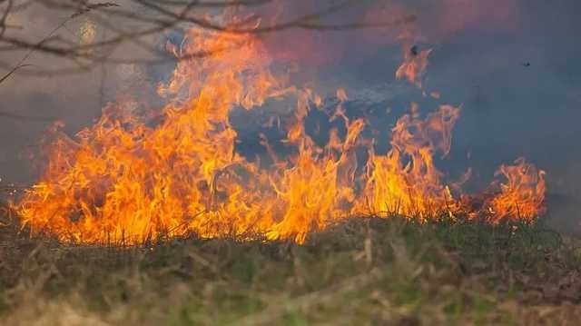 В Греции бушует самый масштабный за последние десятилетия лесной пожар. 20 поселков в районе Афин эвакуированы